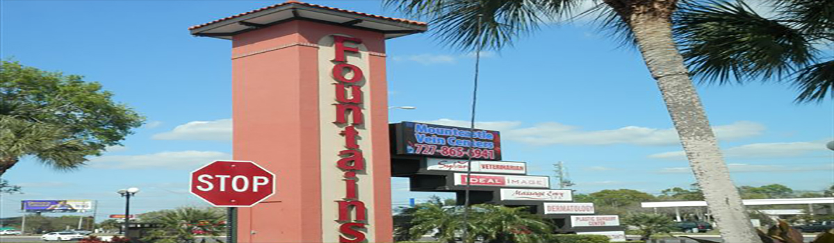 In Ruskin, International Sign is ready to help you with your sign company needs or requirements. International Sign specializes in the design, manufacture, installation of Monument Message Center Sign Addon in all of Hillsborough county, International Sign is ready to serve your exterior sign letters needs. Here to serve you International Sign does business in Ruskin in Hillsborough county FL. Area codes we service include the  area code and the 
33573 zip code.